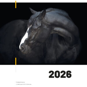 Kalendarz charytatywny konie/ osły 2026