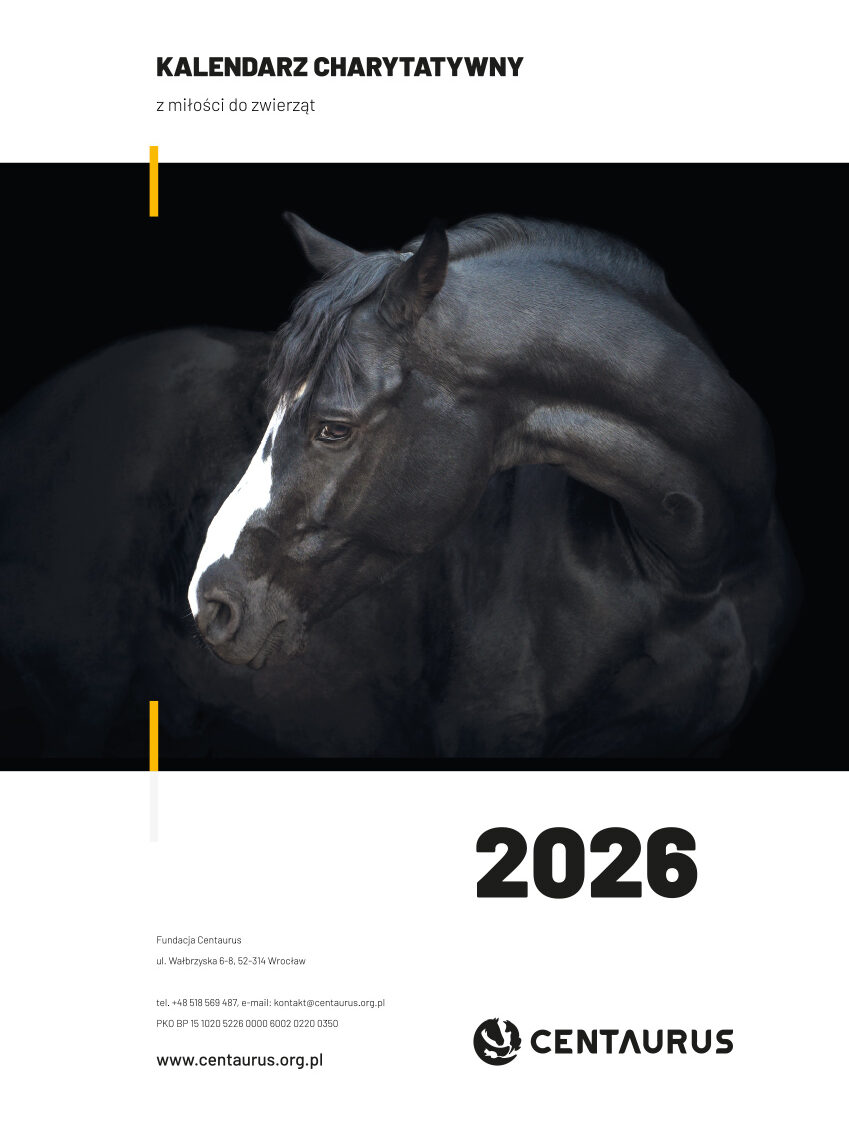 Kalendarz charytatywny konie/ osły 2026
