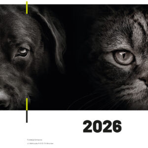 Kalendarz charytatywny psy/ koty 2026