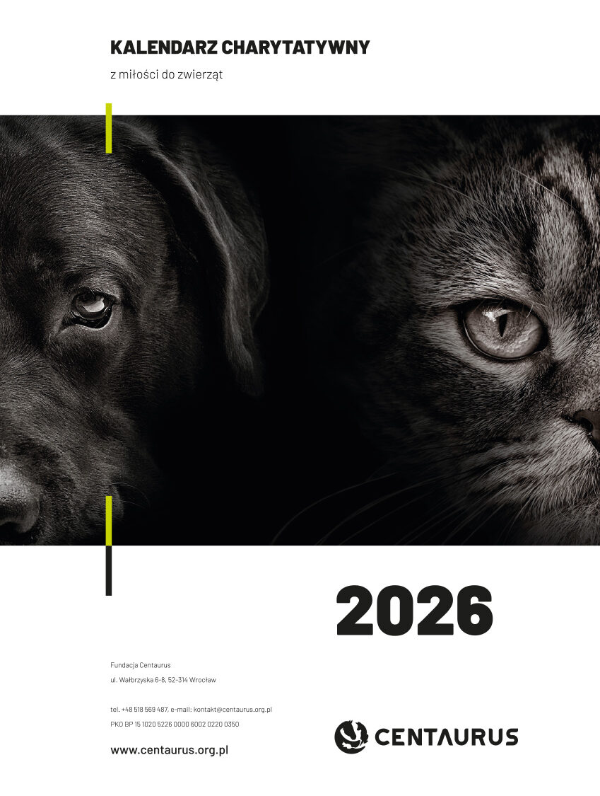 Kalendarz charytatywny psy/ koty 2026