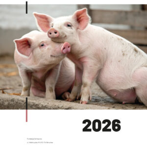 Kalendarz charytatywny zwierzęta dzikie/ gospodarskie 2026