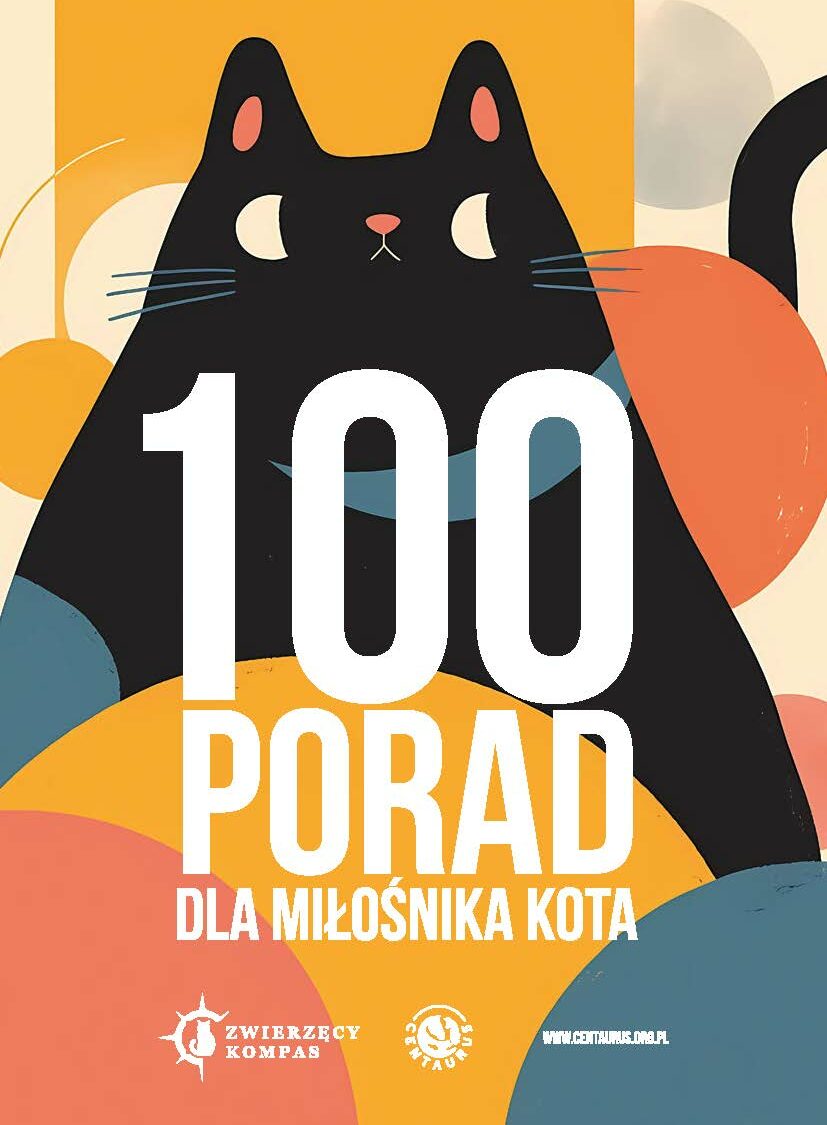 100 porad dla miłośnika kota