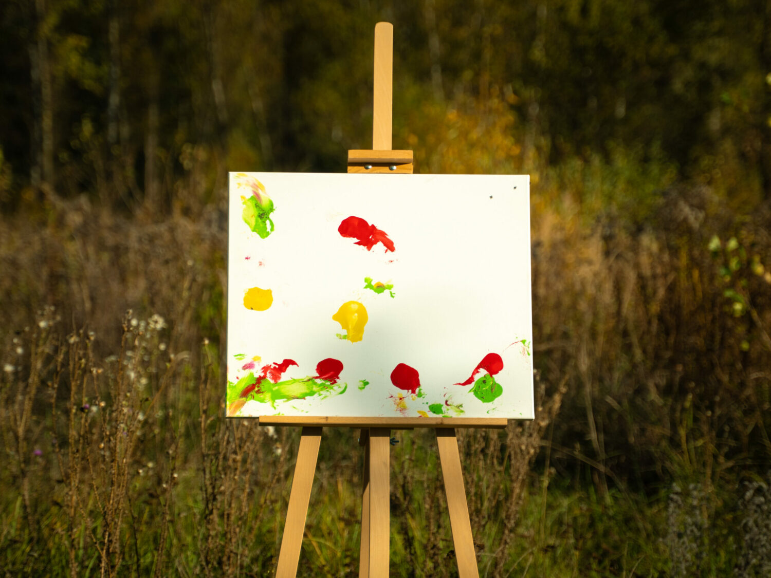 Obraz Chrapami Malowane 50x60 1