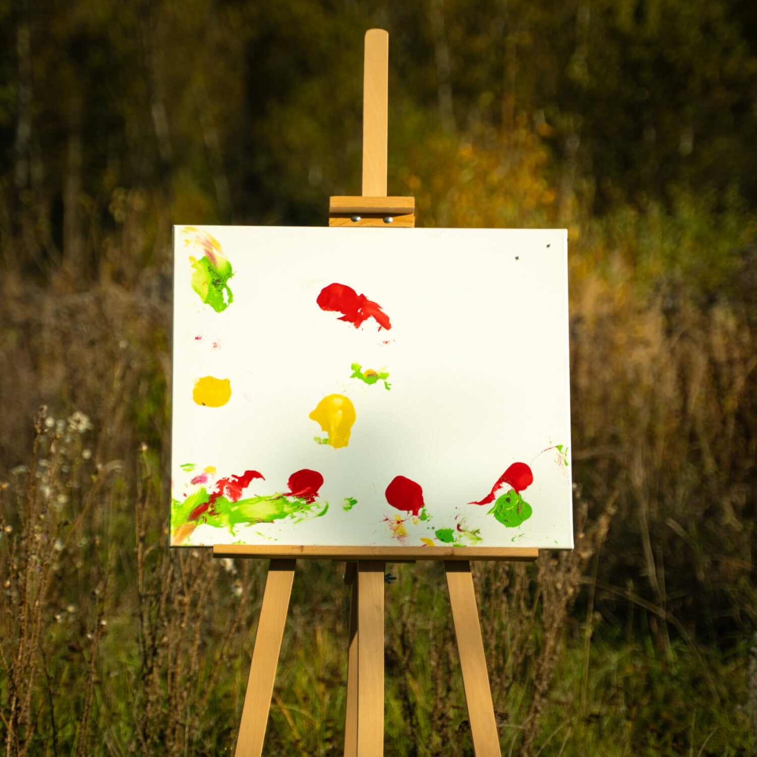 Obraz Chrapami Malowane 50x60 1