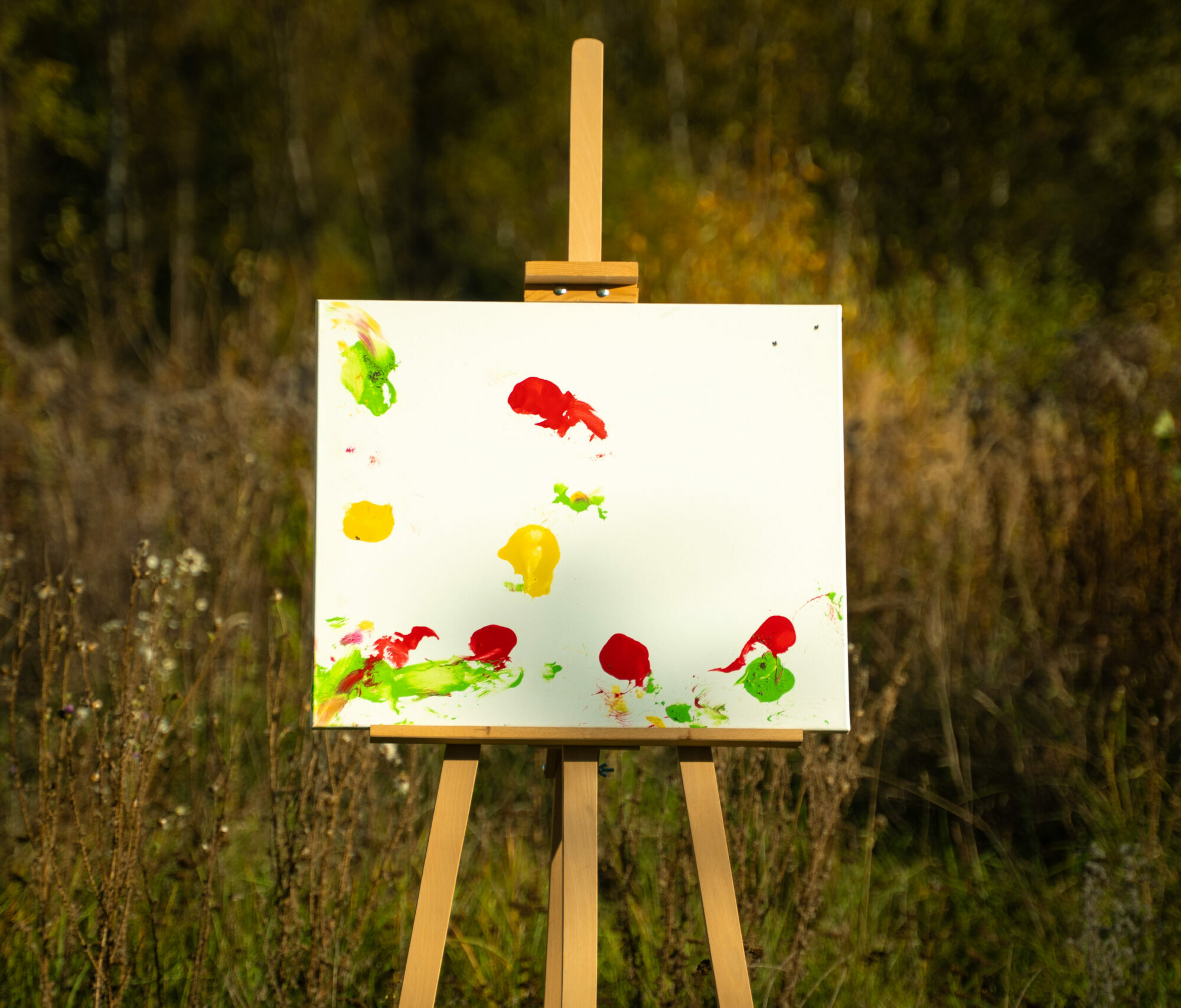 Obraz Chrapami Malowane 50x60 1