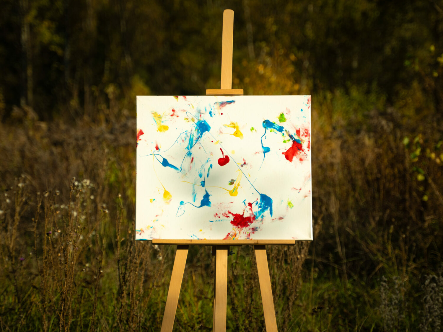 Obraz Chrapami Malowane 11 50x60