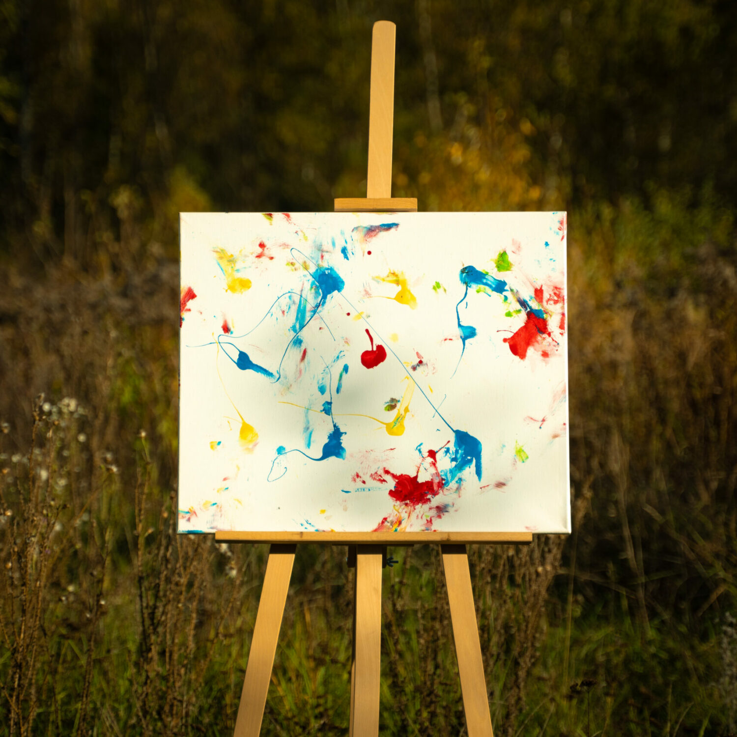 Obraz Chrapami Malowane 11 50x60