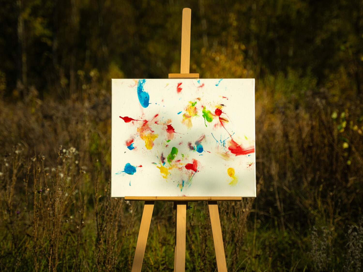 Obraz Chrapami Malowane 50x60 12