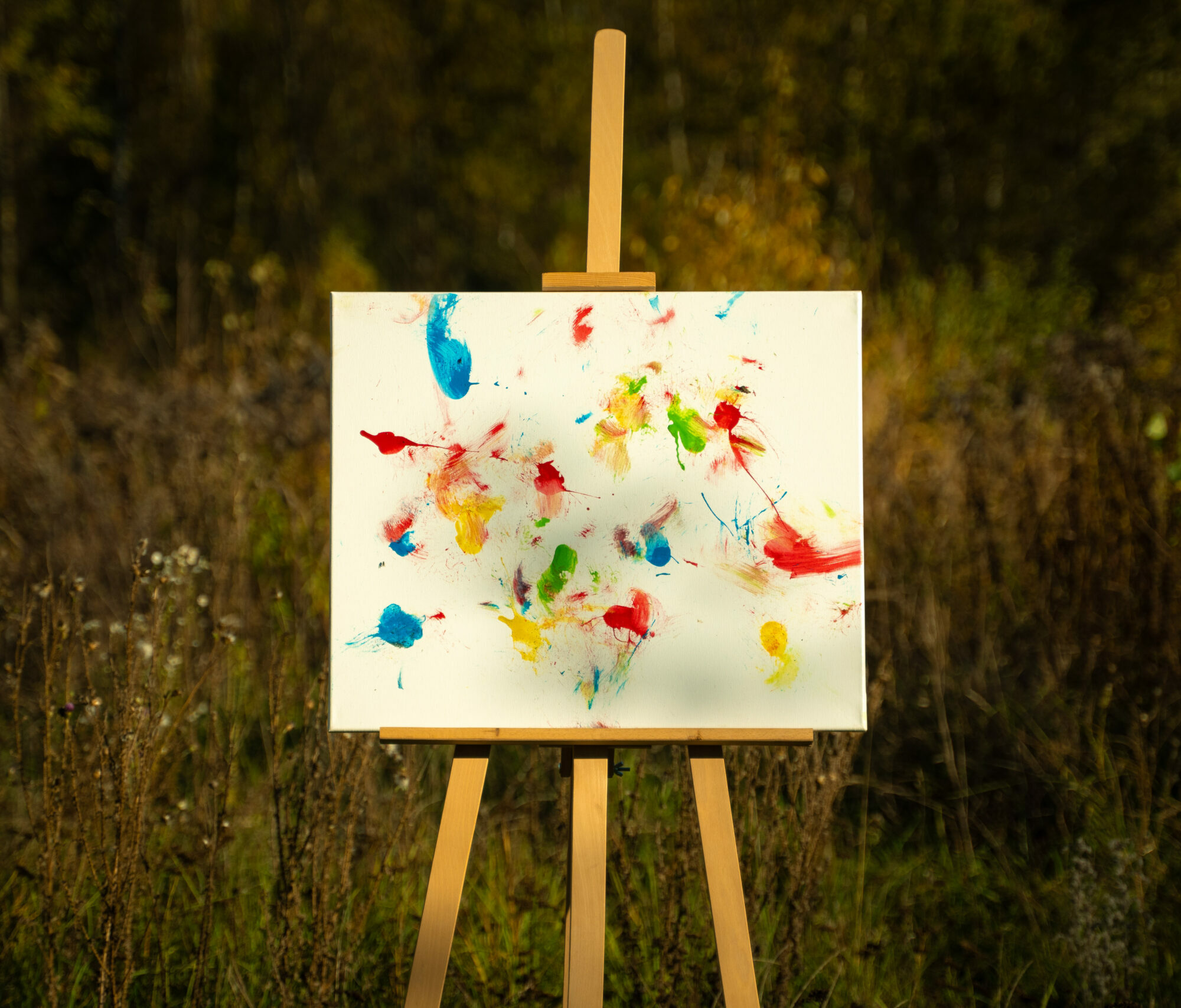 Obraz Chrapami Malowane 50x60 12