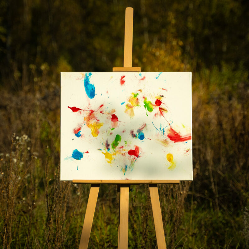 Obraz Chrapami Malowane 50x60 12