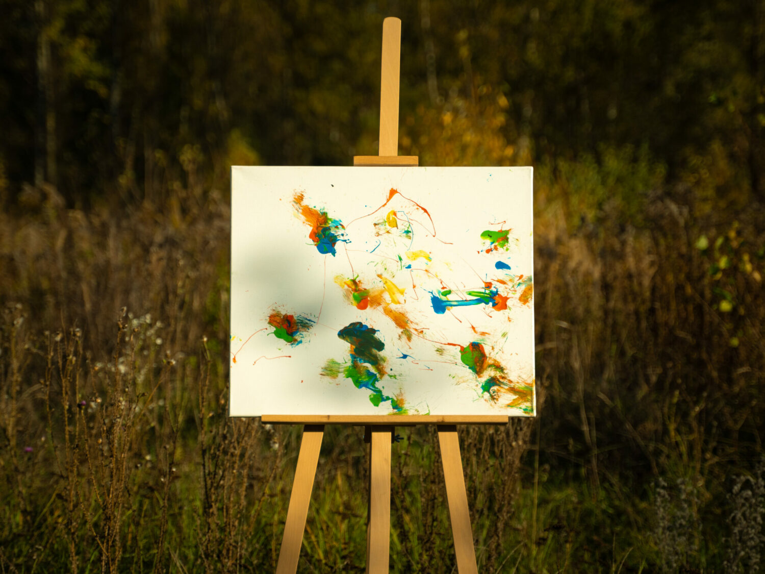 Obraz Chrapami Malowane 50x60 14