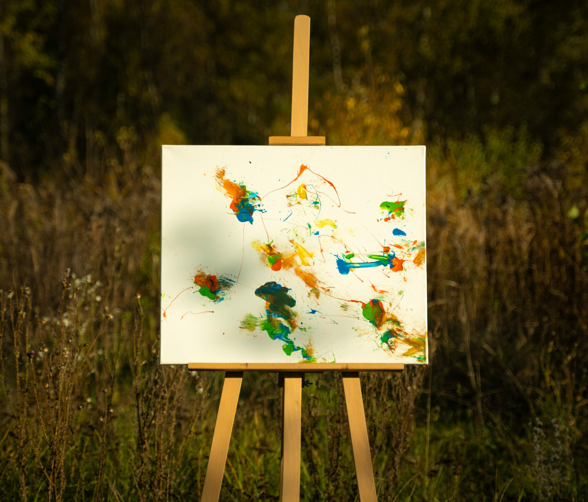 Obraz Chrapami Malowane 50x60 14