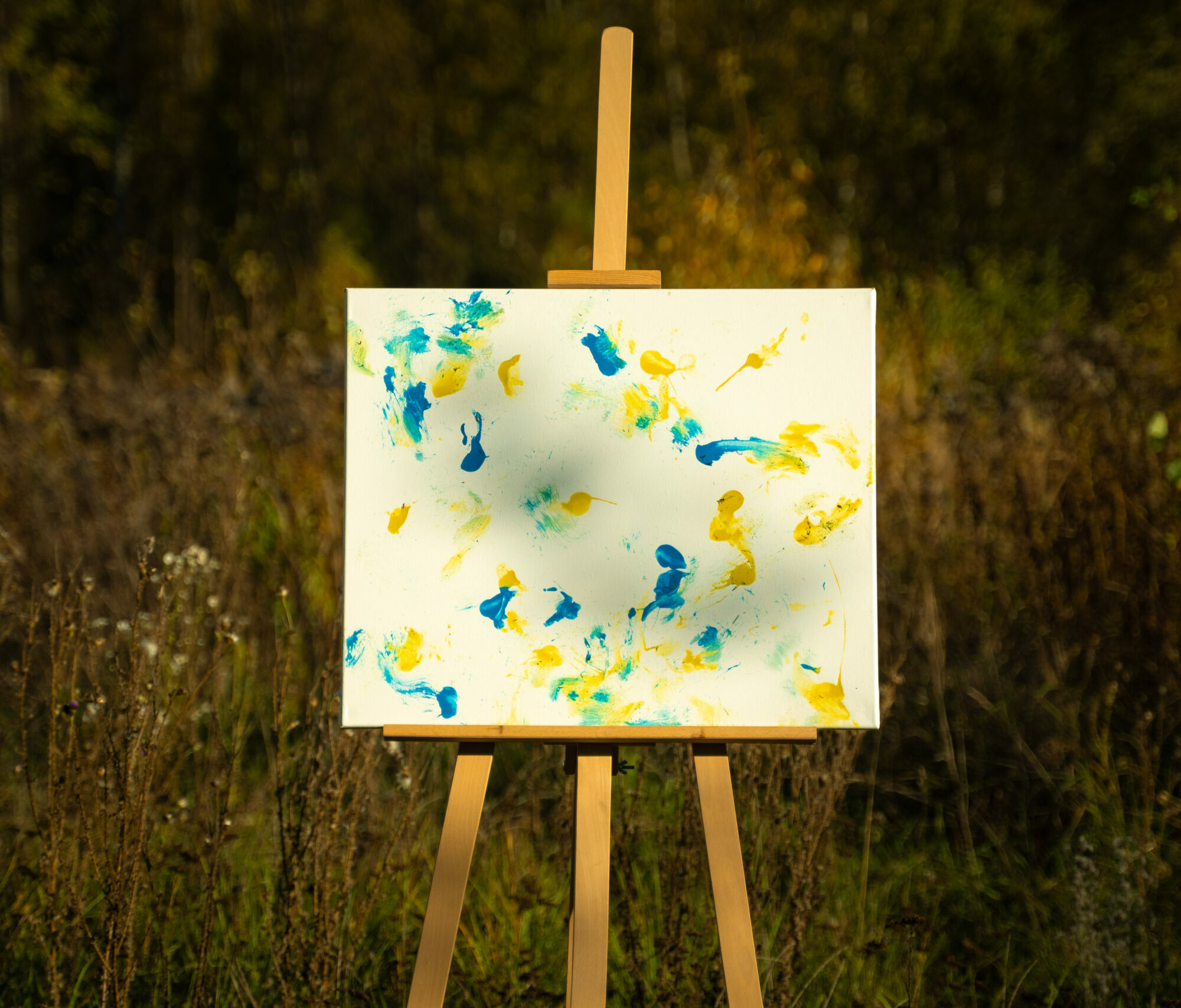 Obraz Chrapami Malowane 50x60 16