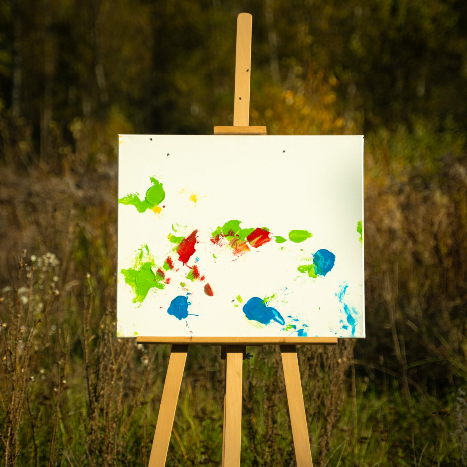 Obraz Chrapami Malowane 50x60 2