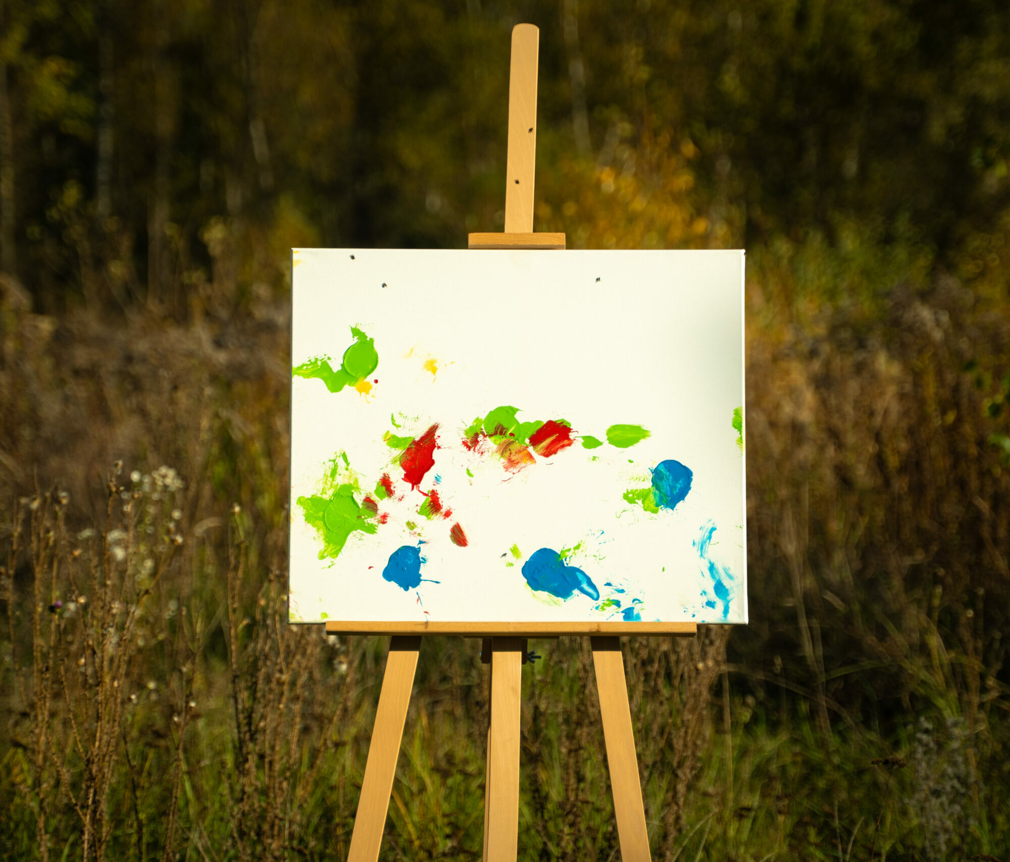 Obraz Chrapami Malowane 50x60 2