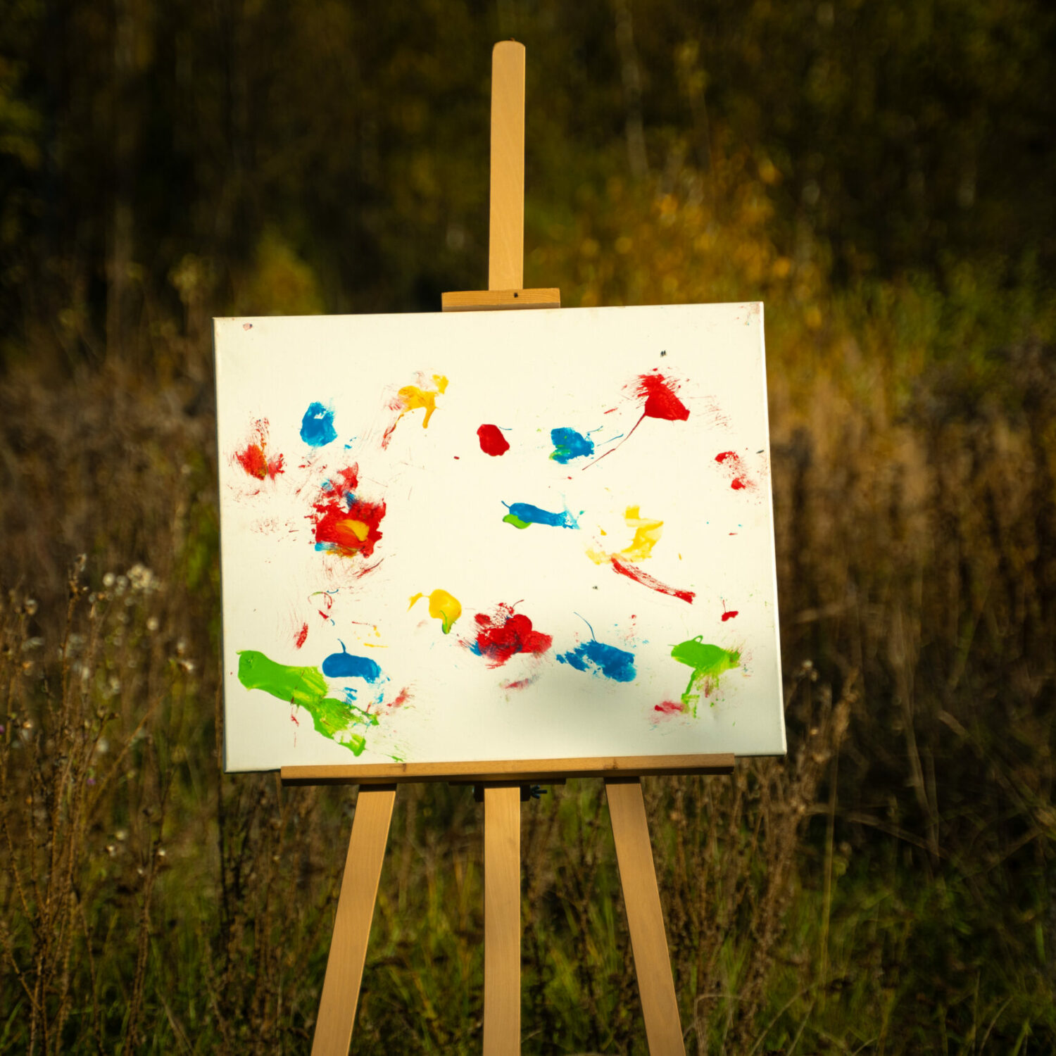 Obraz Chrapami Malowane 50x60 21