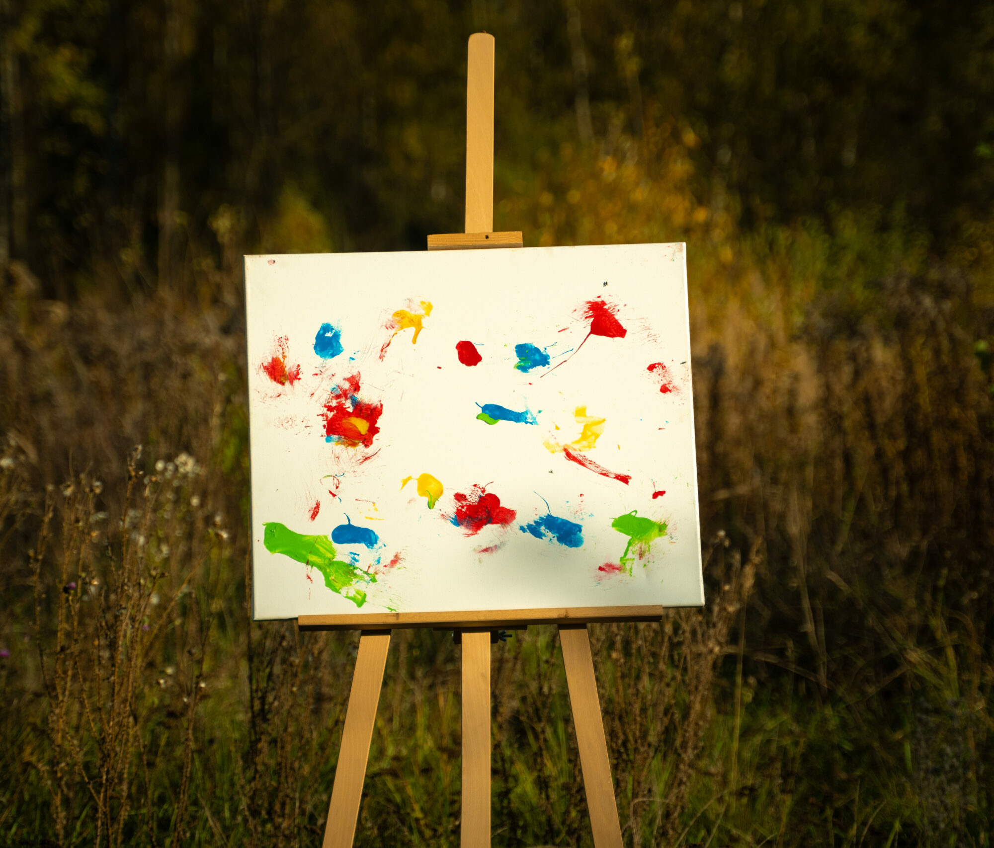 Obraz Chrapami Malowane 50x60 21