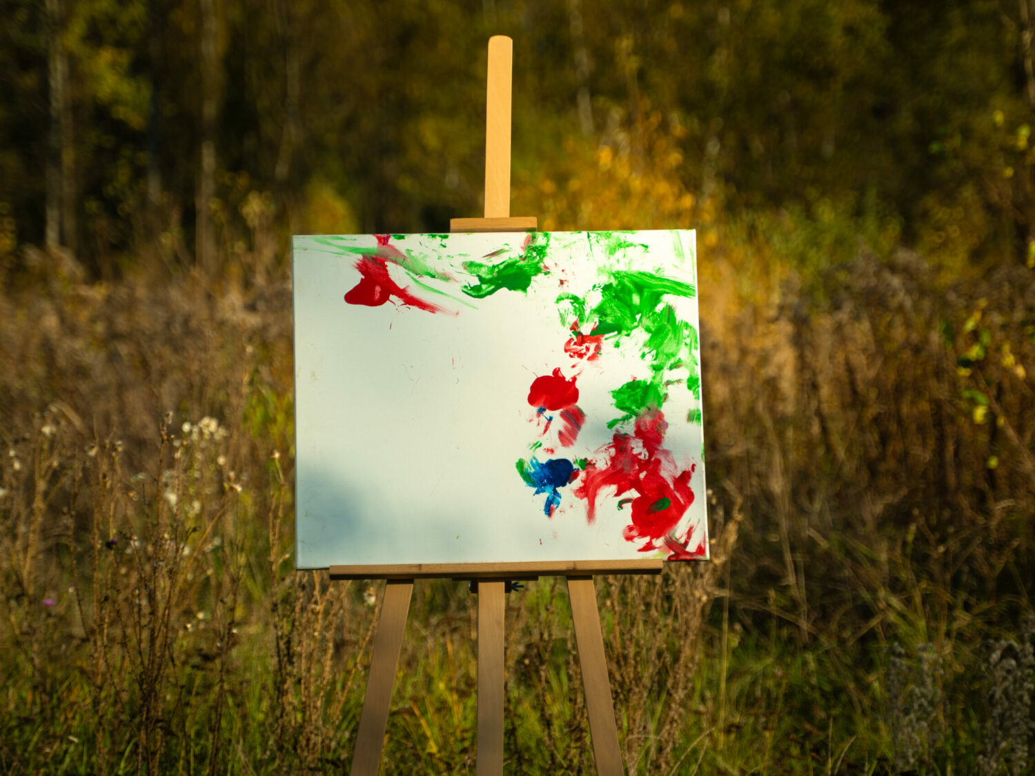 Obraz Chrapami Malowane 50x60 26