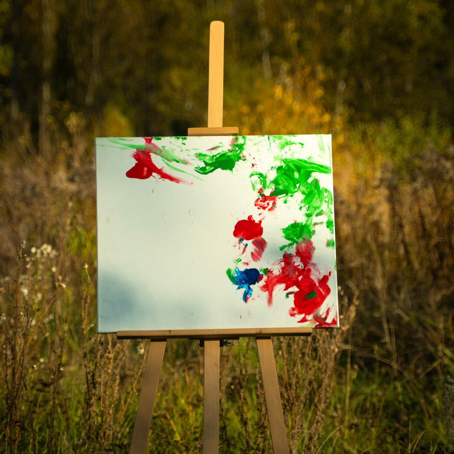 Obraz Chrapami Malowane 50x60 26