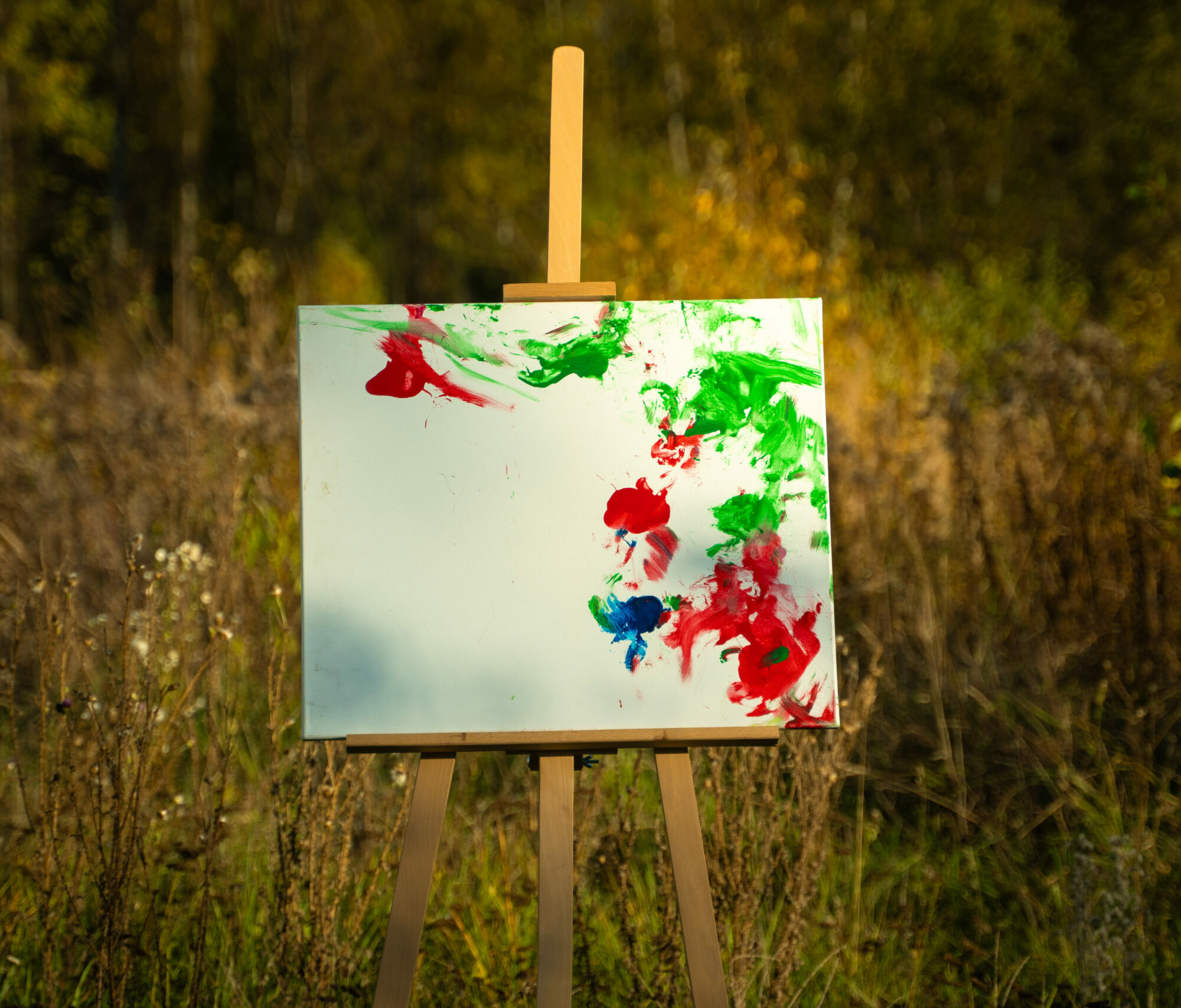 Obraz Chrapami Malowane 50x60 26