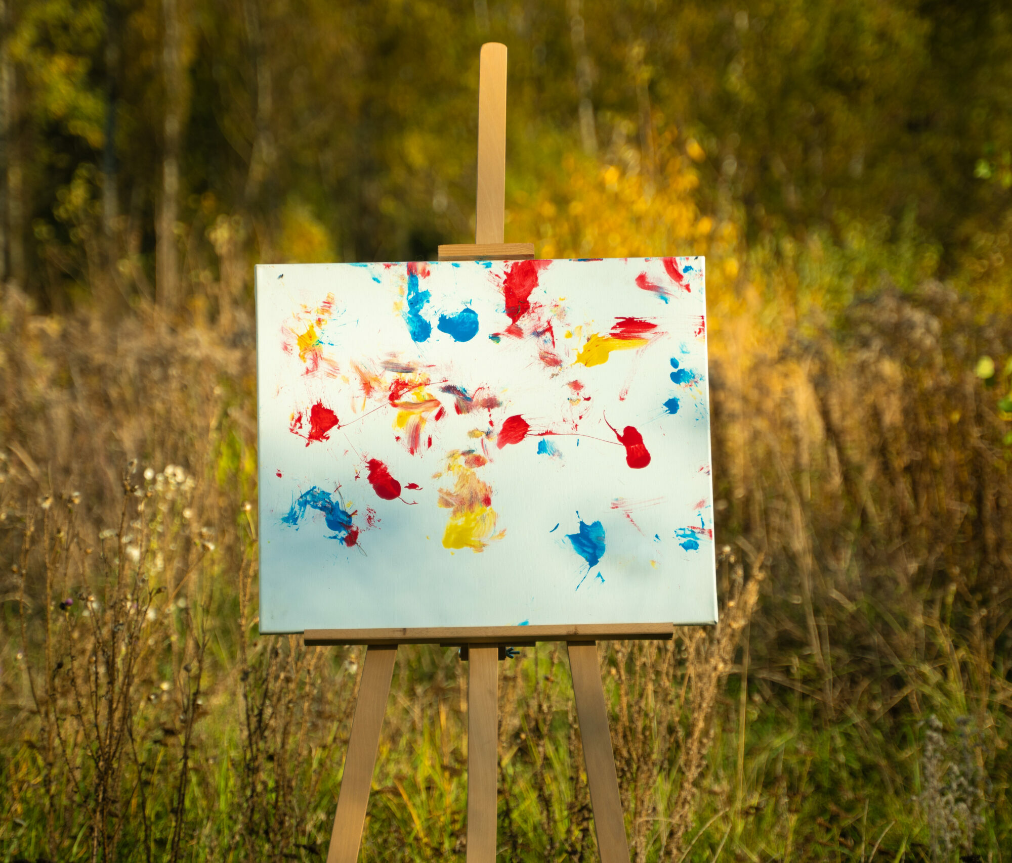 Obraz Chrapami Malowane 50x60 28