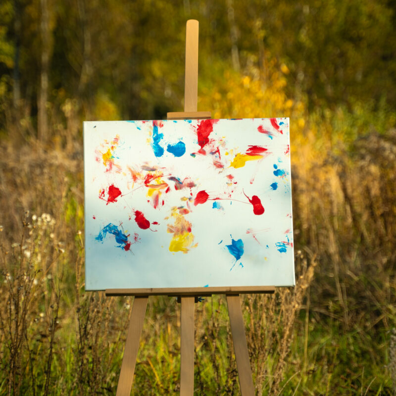 Obraz Chrapami Malowane 50x60 28