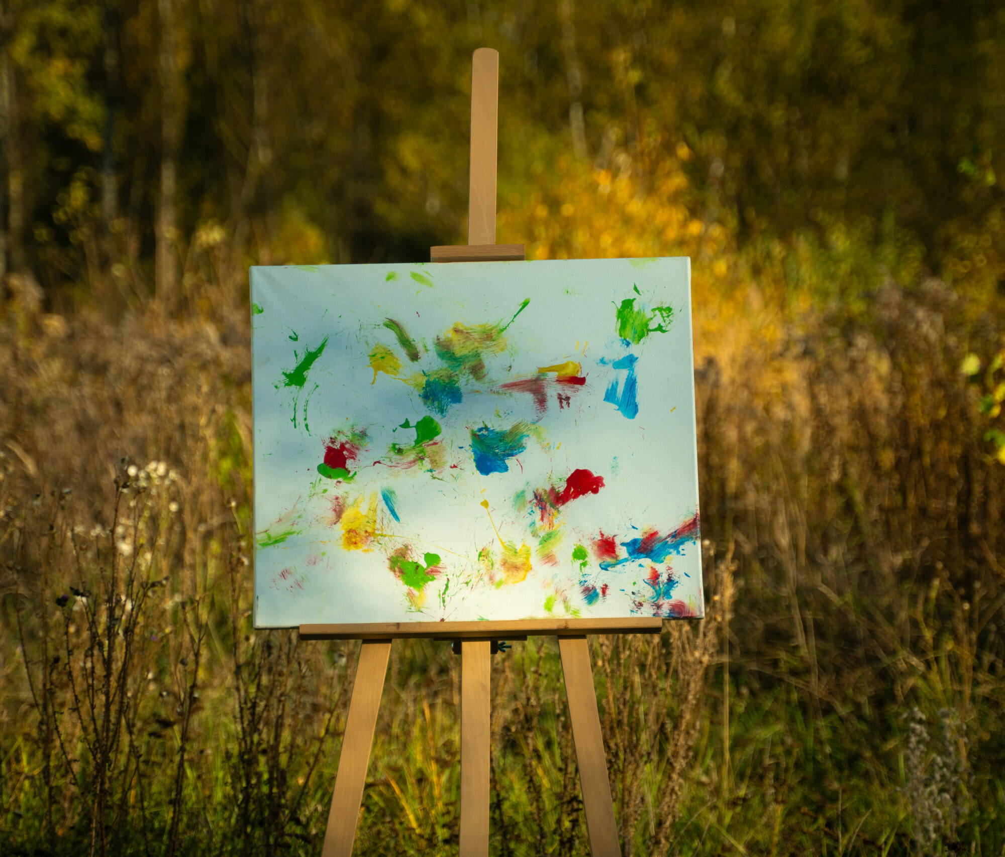 Obraz Chrapami Malowane 50x60 32