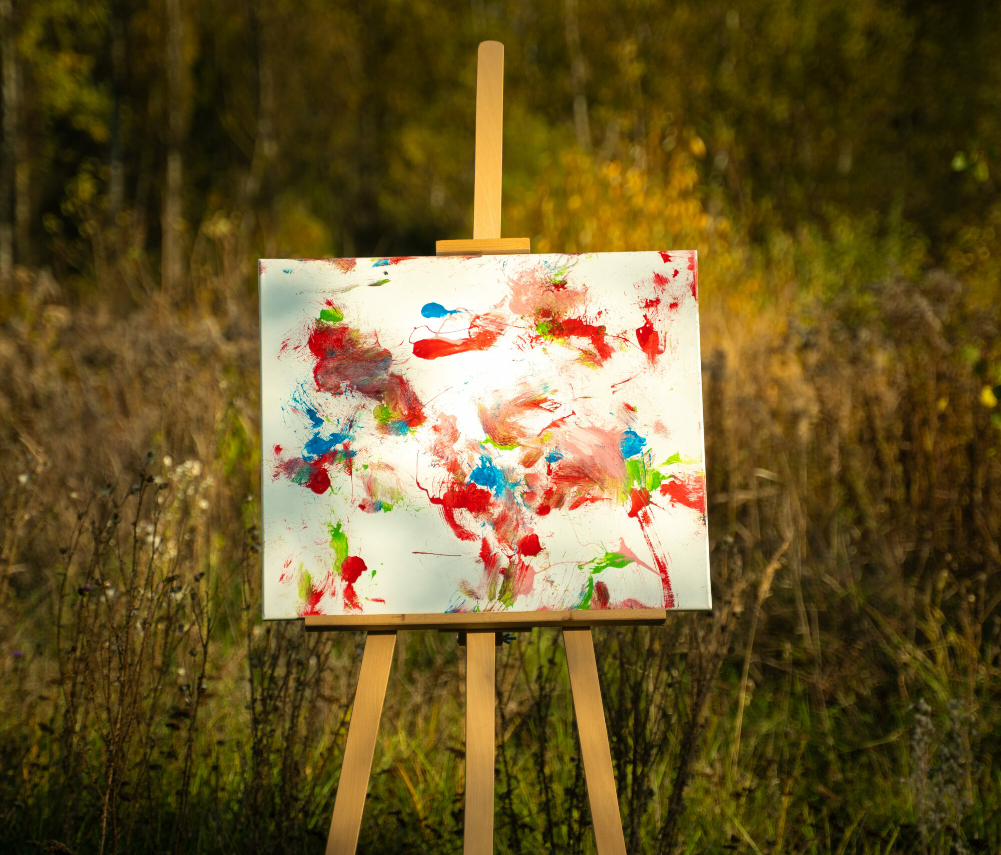 Obraz Chrapami Malowane 50x60 33