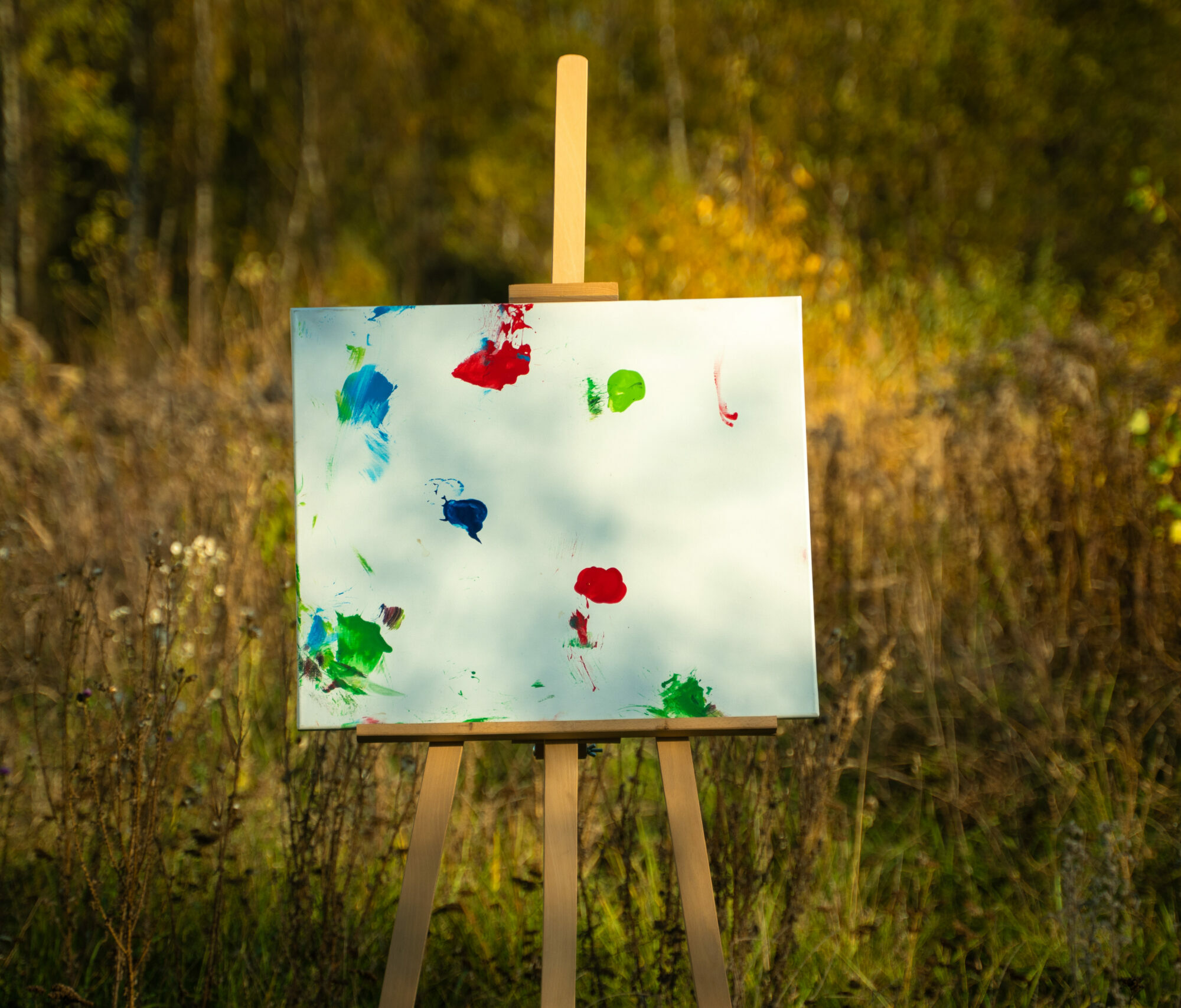 Obraz Chrapami Malowane 50x60 36