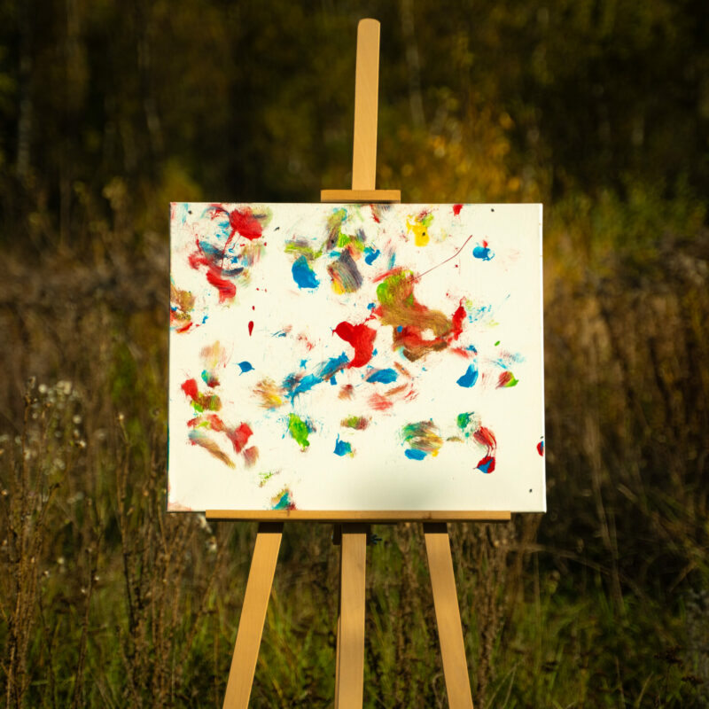 Obraz Chrapami Malowane 50x60 6