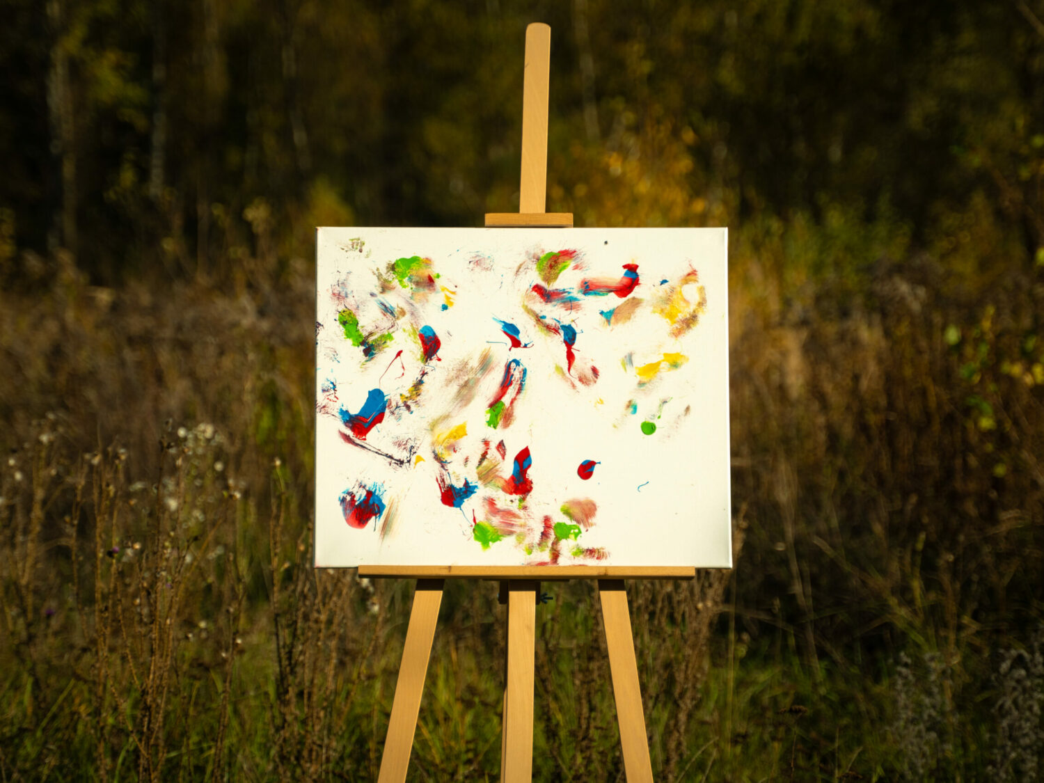 Obraz Chrapami Malowane 8 50x60