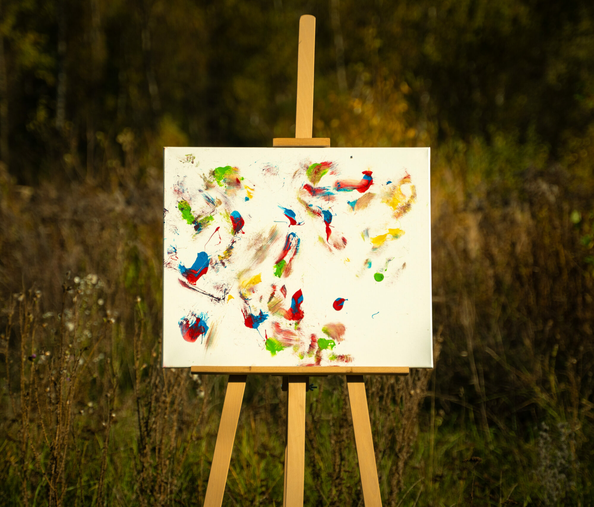 Obraz Chrapami Malowane 8 50x60