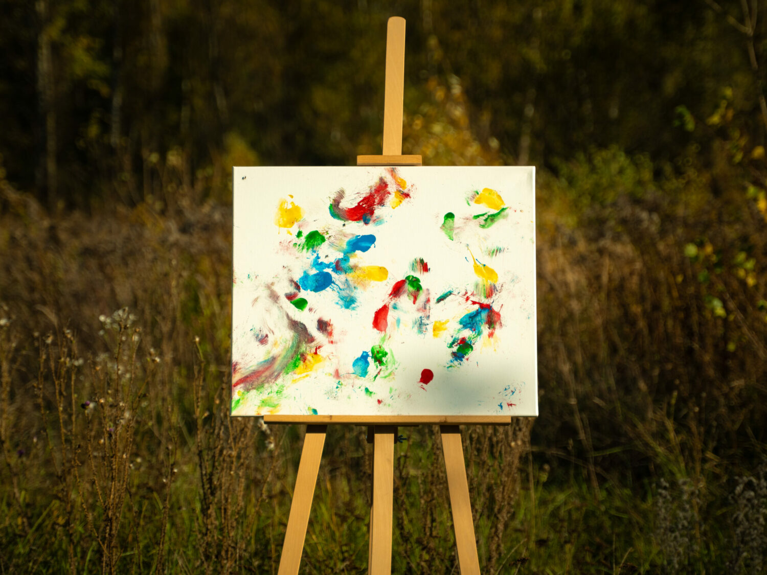 Obraz Chrapami Malowane 50x60 9