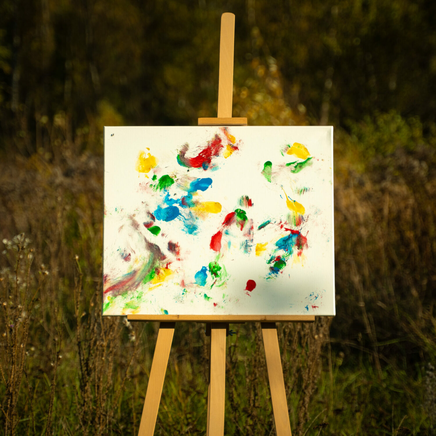 Obraz Chrapami Malowane 50x60 9