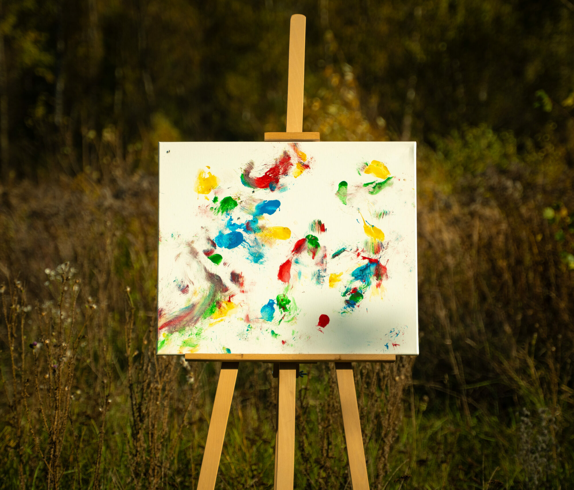 Obraz Chrapami Malowane 50x60 9