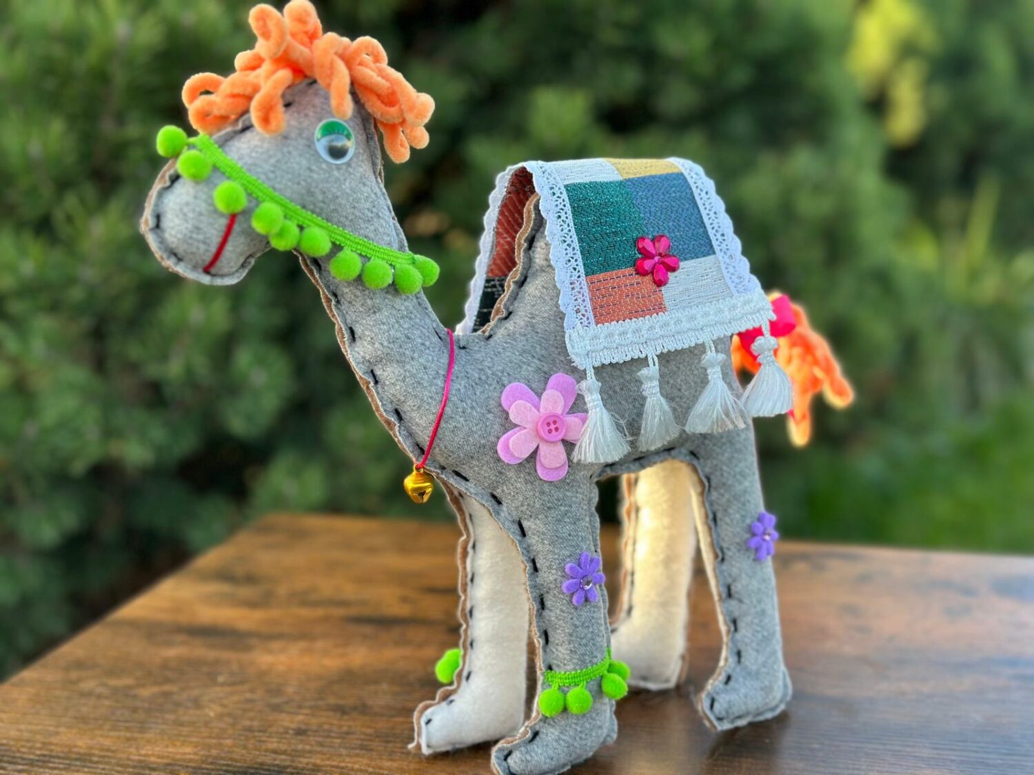 Wielbłądziak szary z pomarańczową grzywą