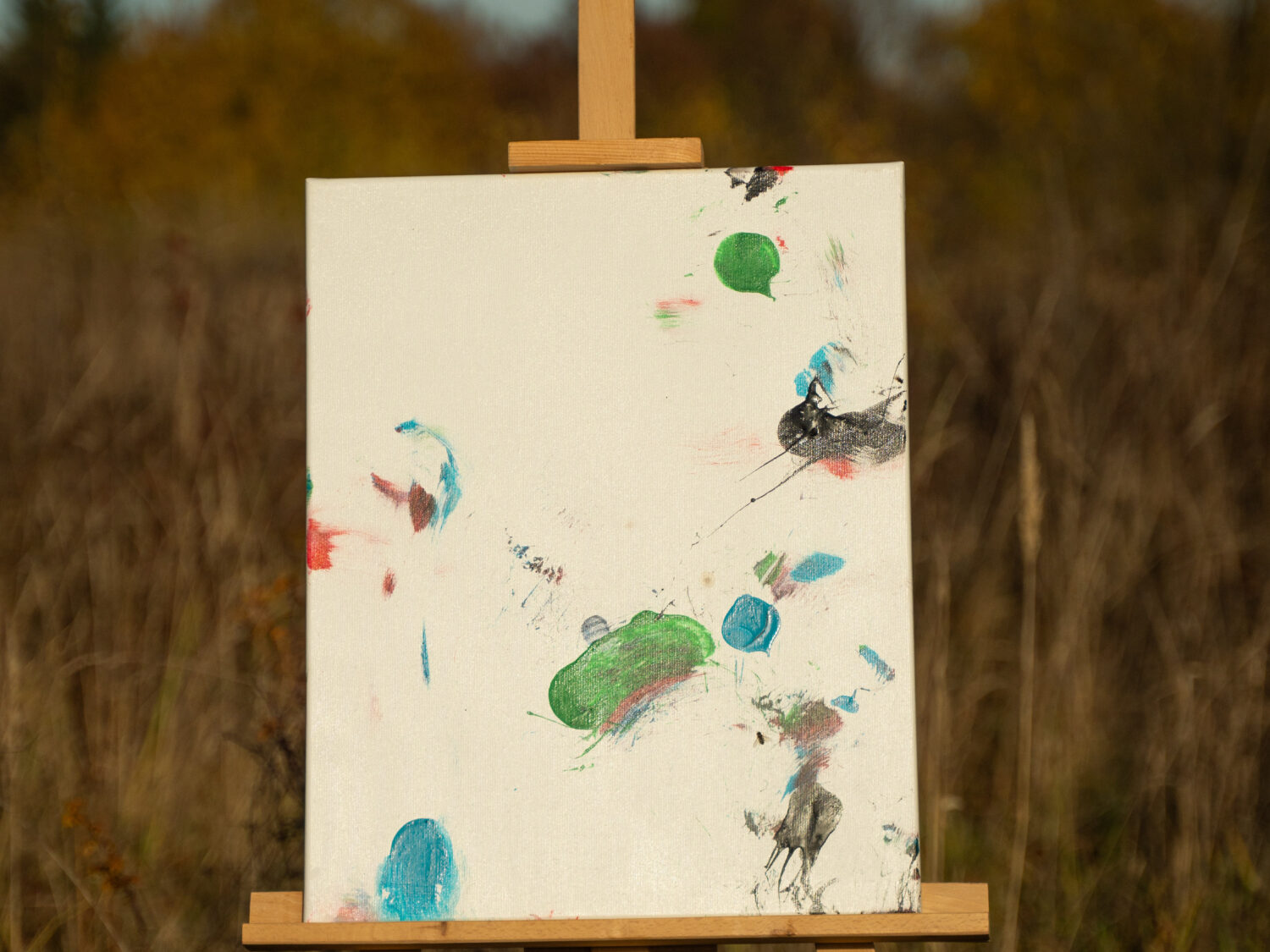 Obraz Chrapami Malowane 40x50 1