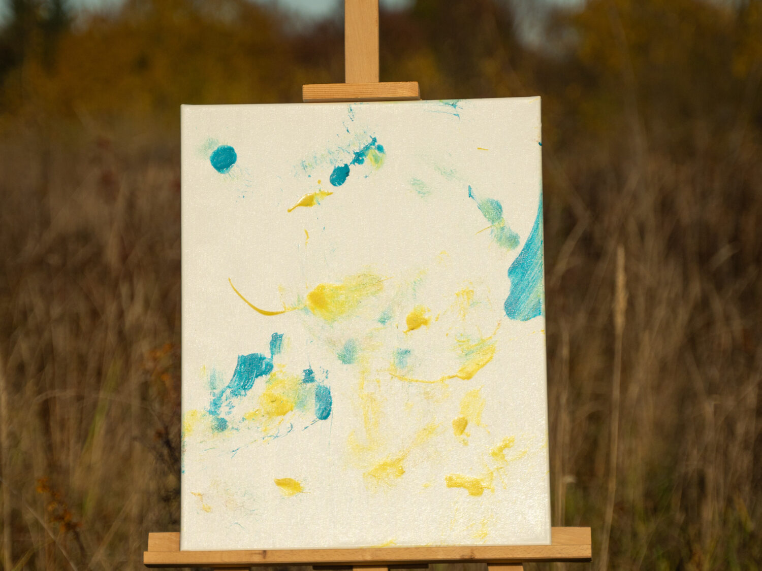 Obraz Chrapami Malowane 40x50 10