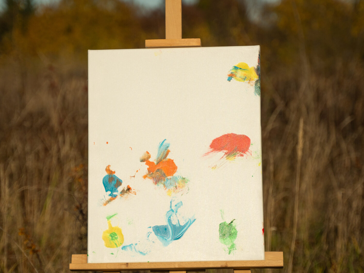 Obraz Chrapami Malowane 40x50 11