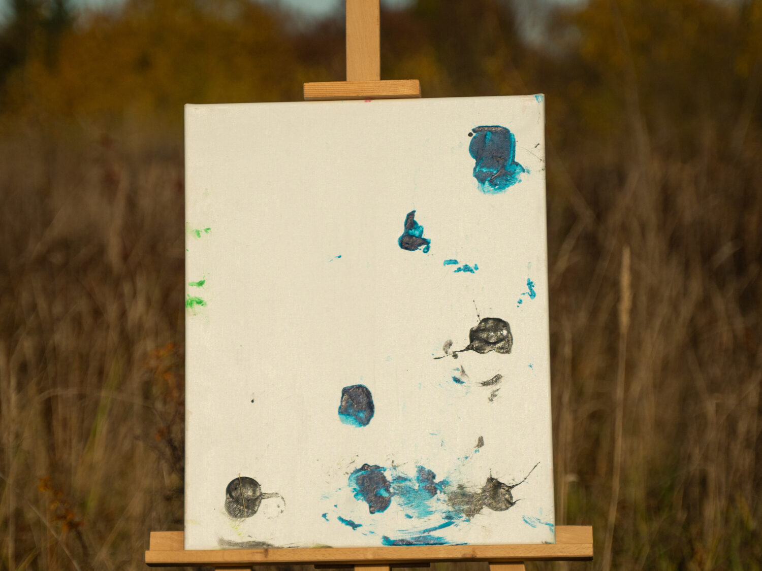 Obraz Chrapami Malowane 40x50 14