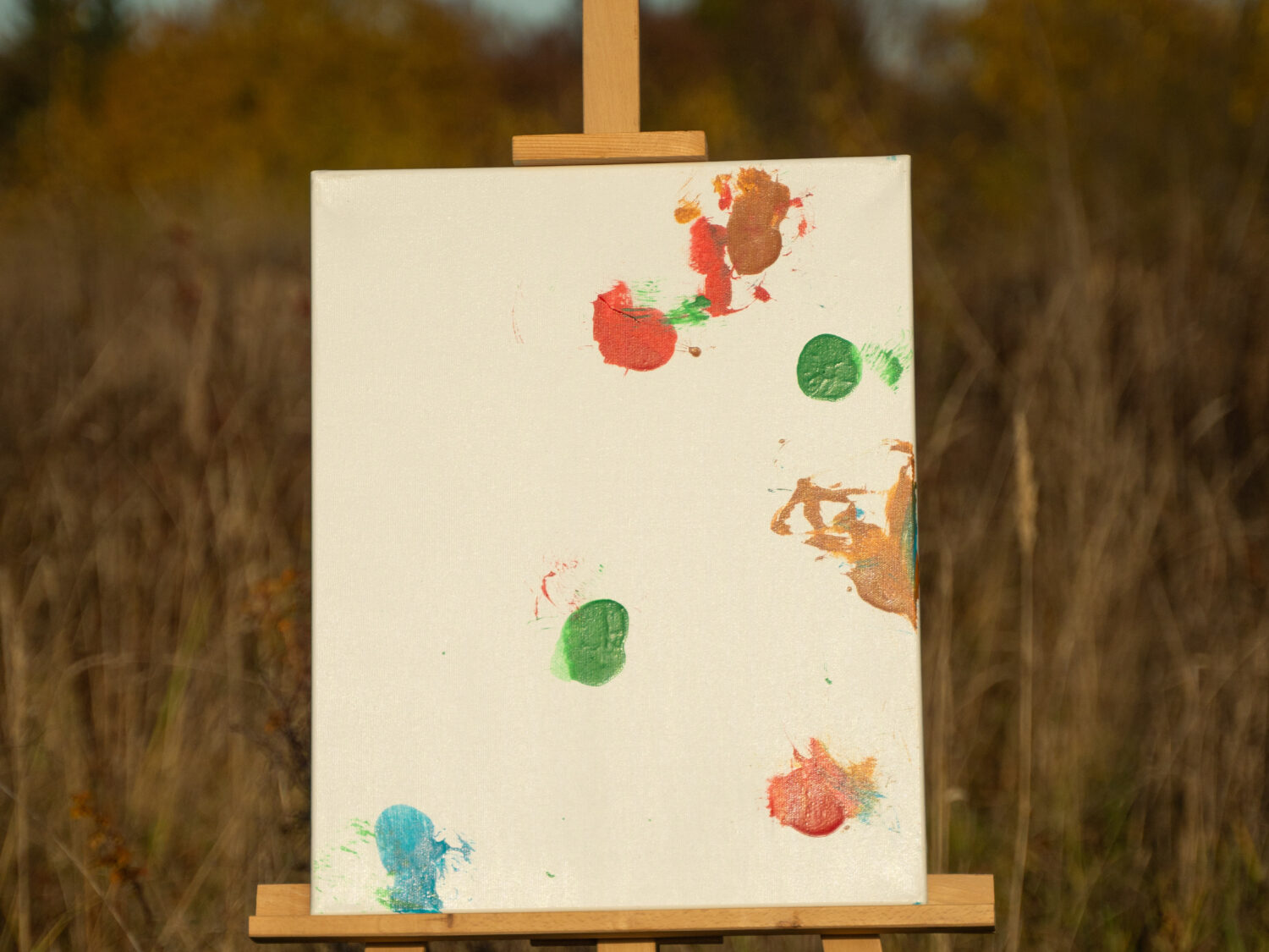 Obraz Chrapami Malowane 40x50 15