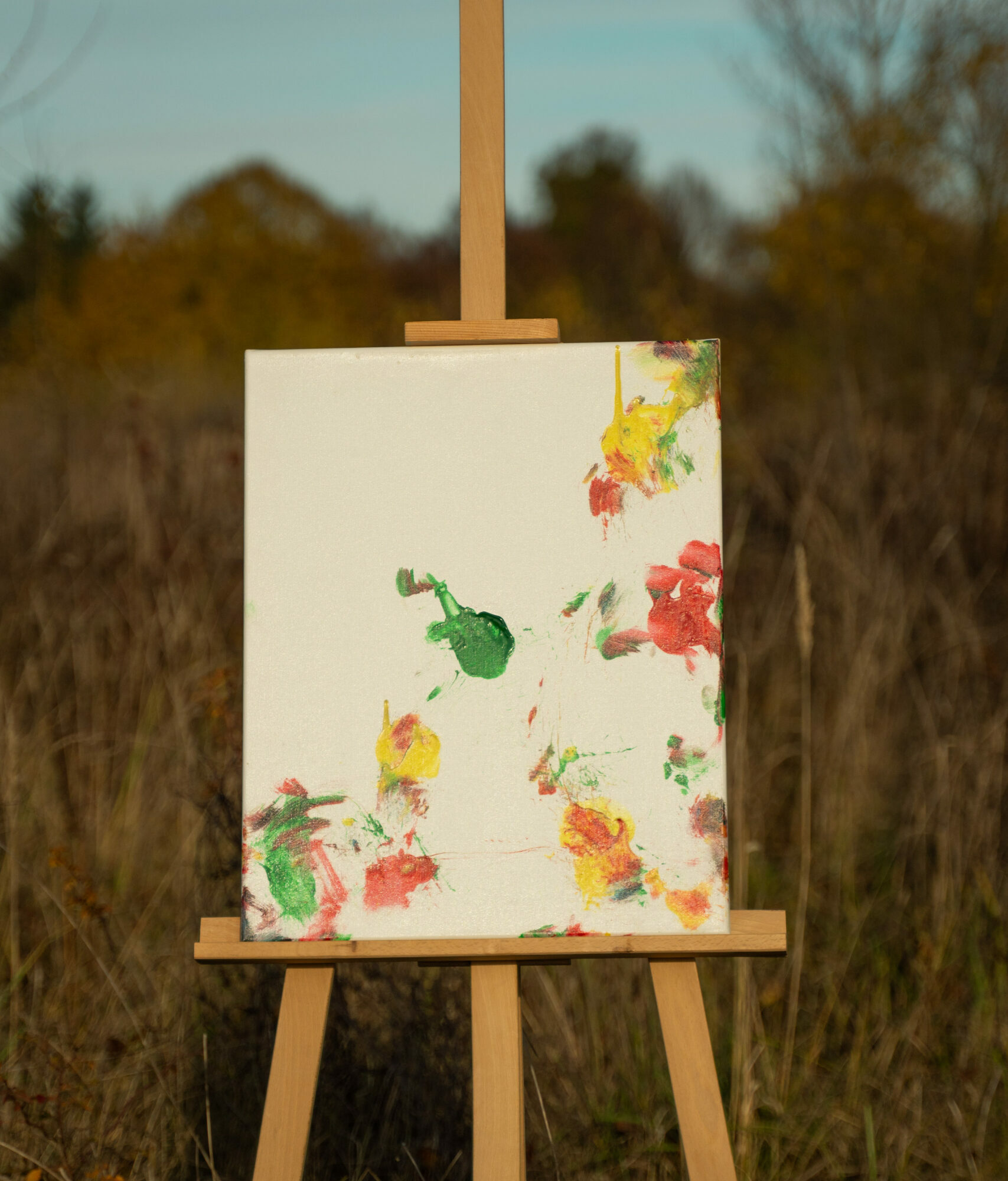 Obraz Chrapami Malowane 40x50 5