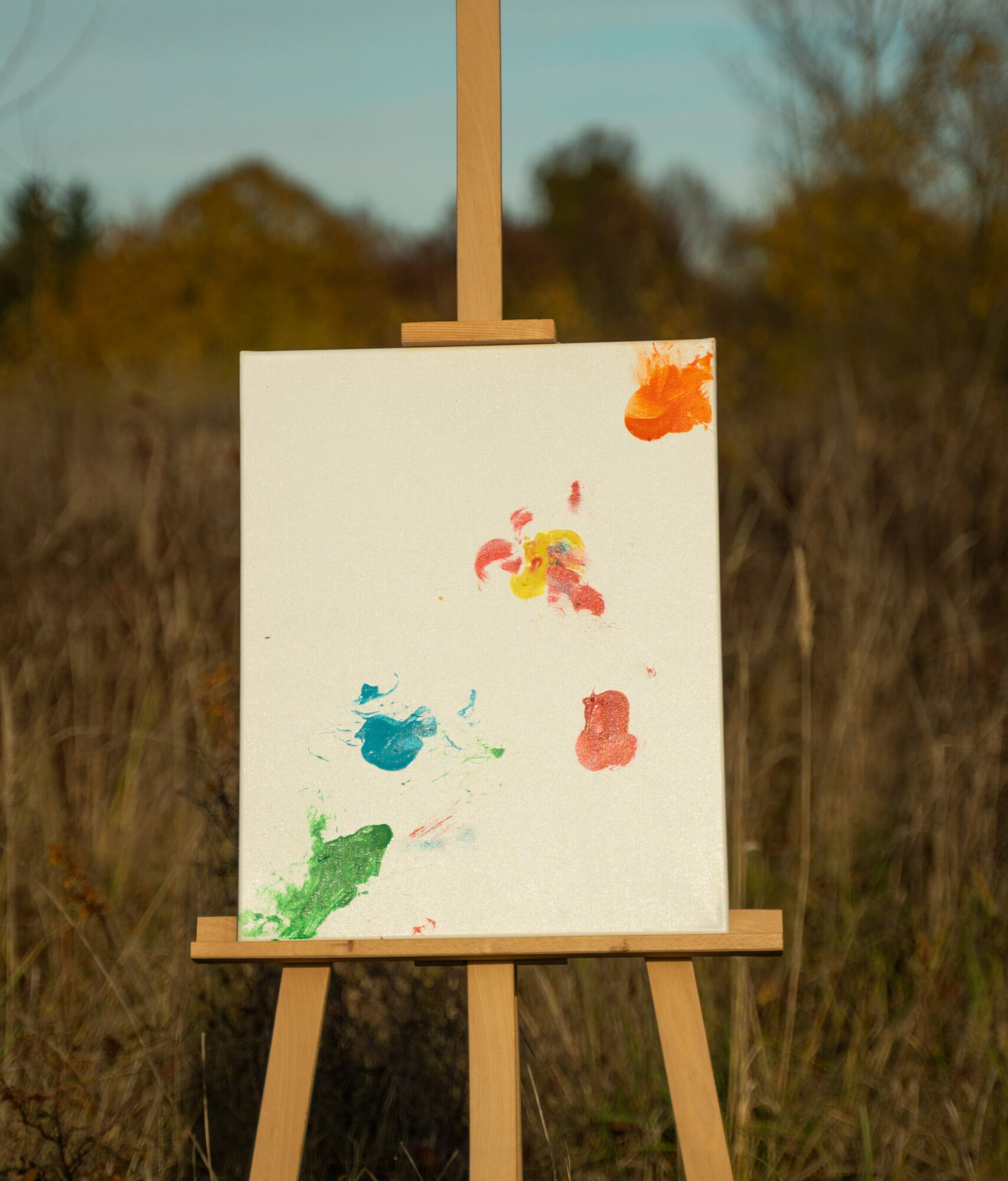 Obraz Chrapami Malowane 40x50 6