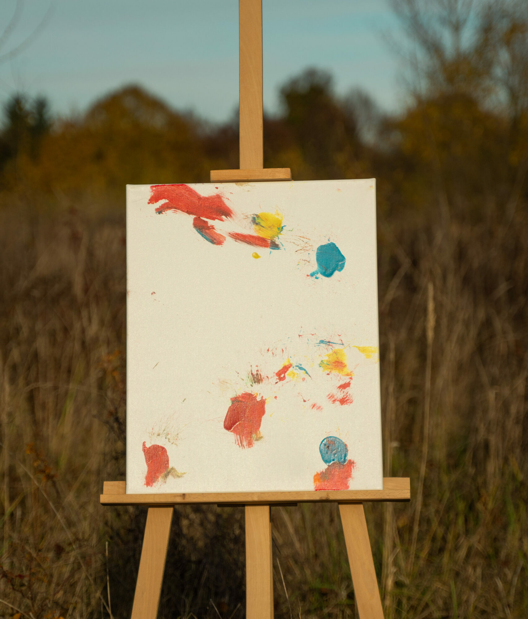 Obraz Chrapami Malowane 40x50 7