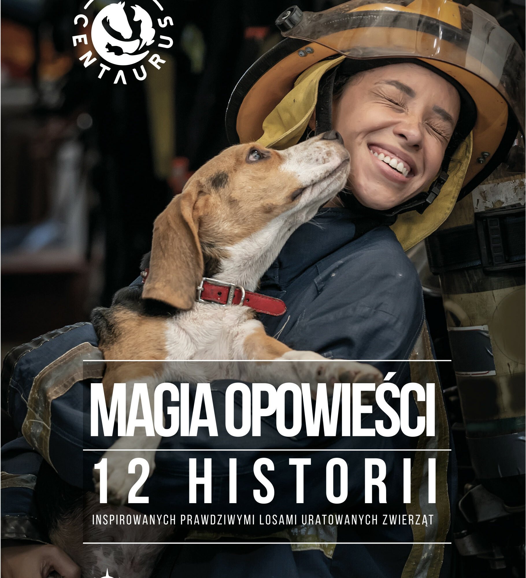 12 historii zwierząt