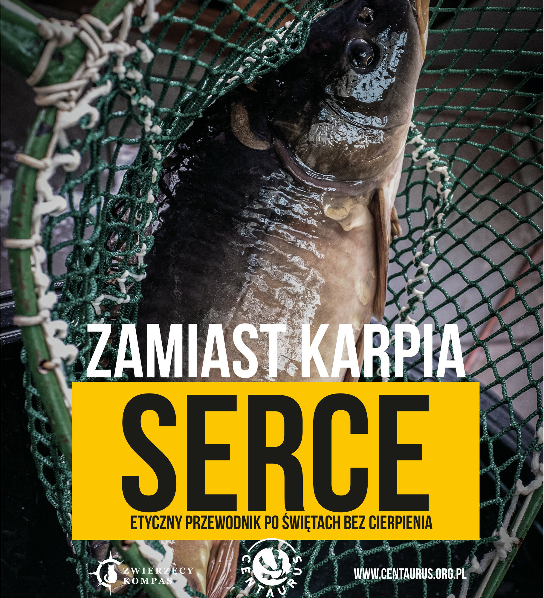 Zamiast karpia serce