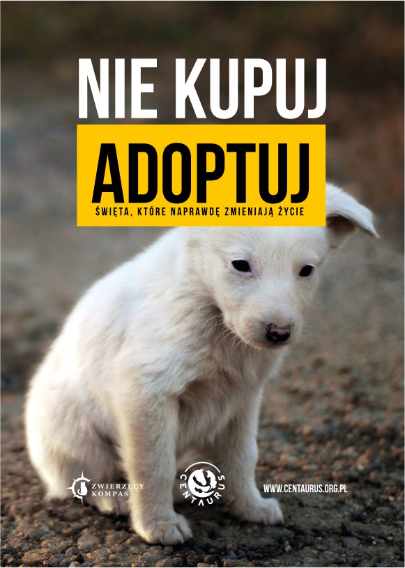 Nie kupuj, adoptuj