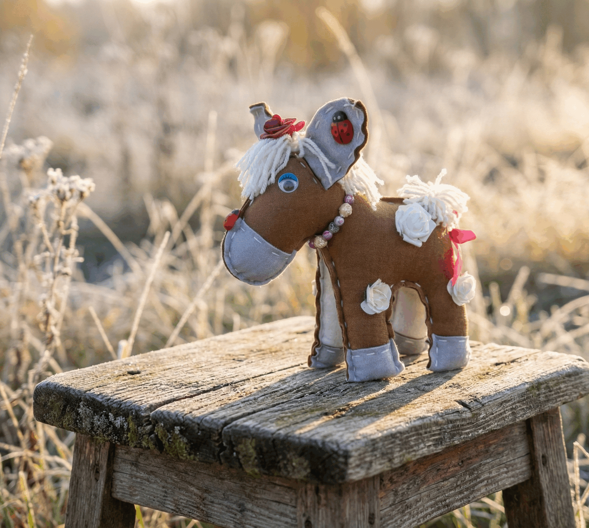 Kopyciak Osiołek Biedroneczka