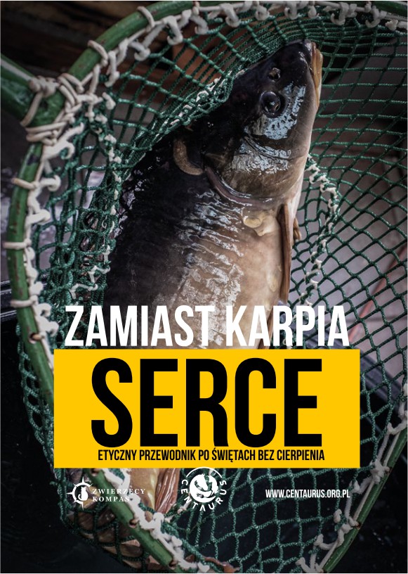 Zamiast karpia serce