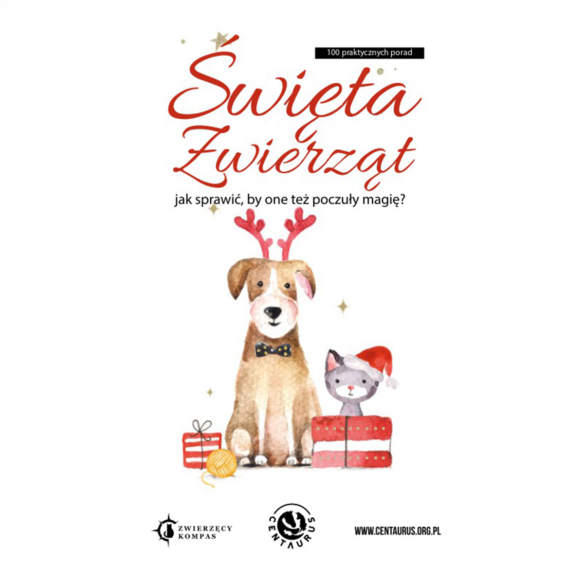 Święta zwierząt - miłość nie zna gatunku